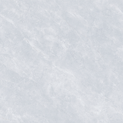 MY88605L 佛罗里达