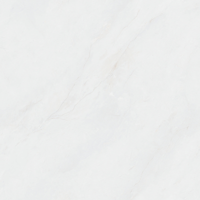 MY88606L 芙尼丝绸