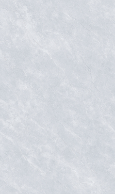 MY813605L 佛罗里达