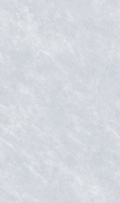 MY813605L 佛罗里达