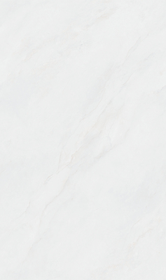 MY813606L 芙尼丝绸