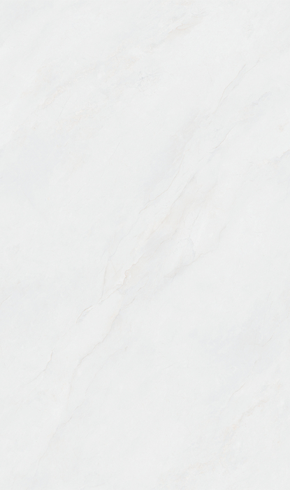 MY813606L 芙尼丝绸