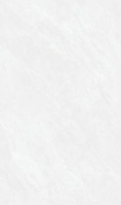 MY813607L 保罗卡迪