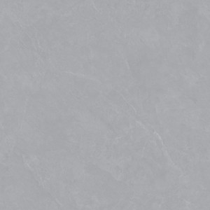 MY88301LF 奥秘鲁灰